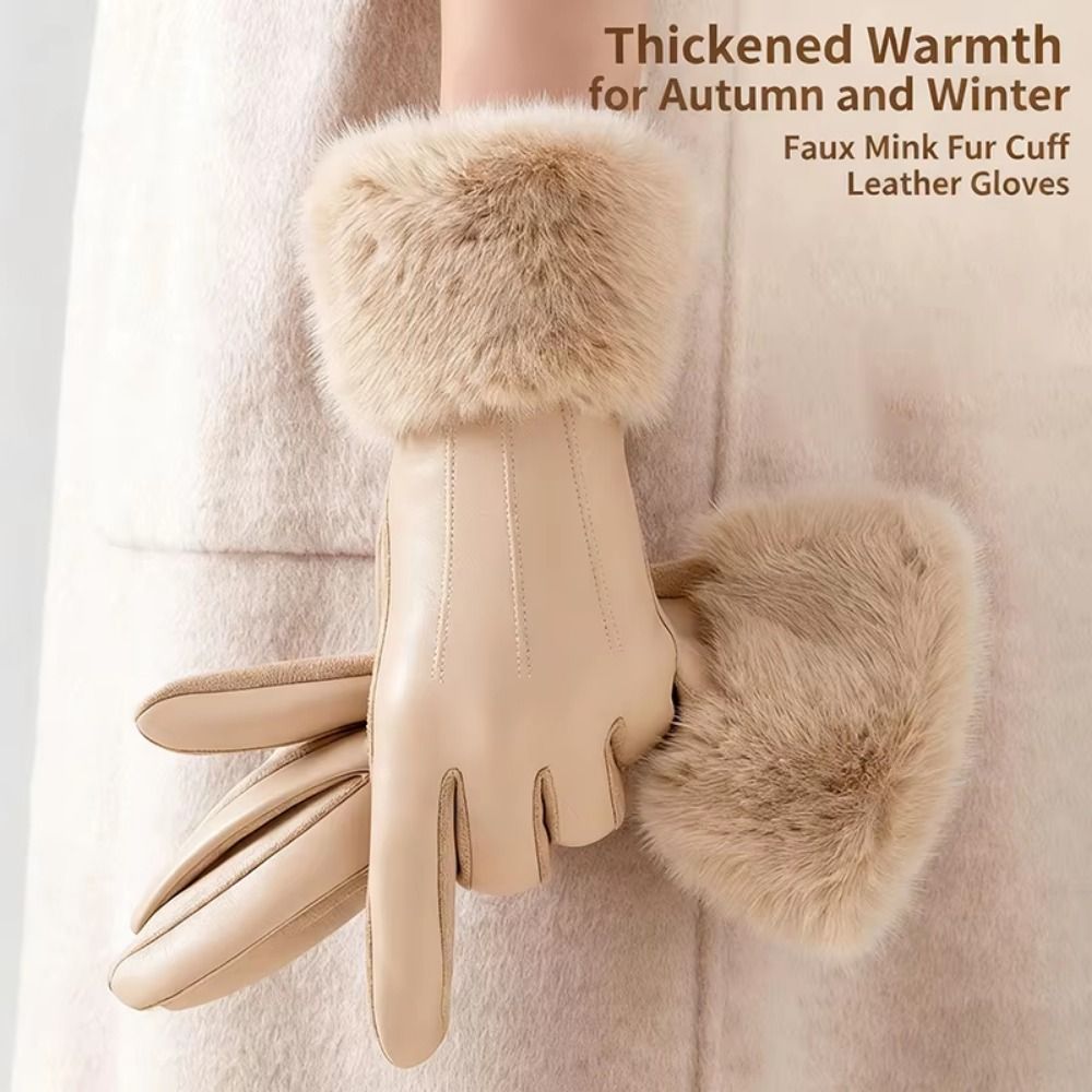 Thermisch Gefütterte Damen-Led – Winter Glove Insulated Bewertung und Preis